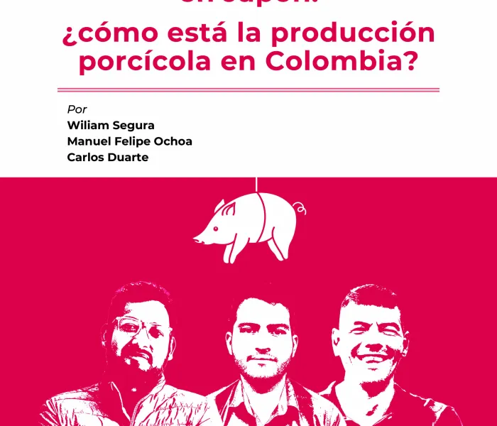 A propósito de la lechona en Japón: ¿cómo está la producción porcícola en Colombia?
