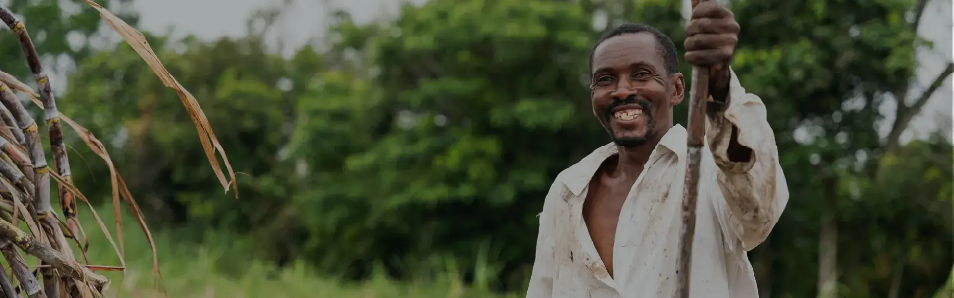 Universidad-en-territorios